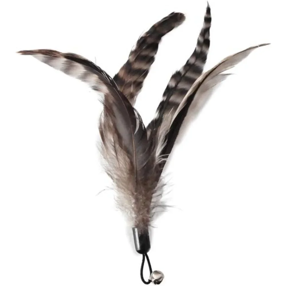 Cat Toys - No Chemical Dyeing Cat Feather Toys for Indoor Cats